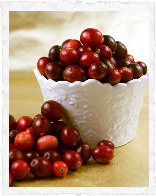 04_cranberries