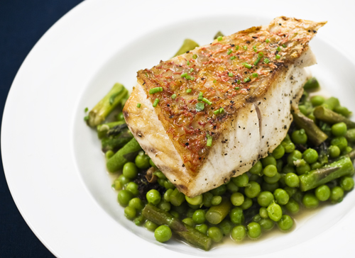 080615_snapper