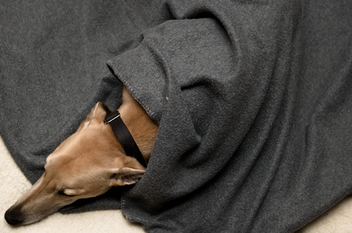 080921_rublanket