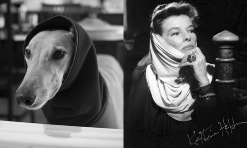 081123_snood