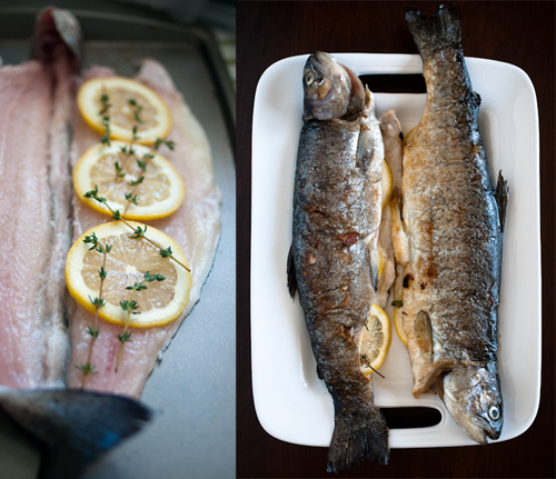 090426_trout_raw