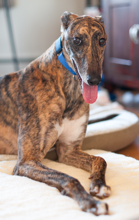 091121_otis