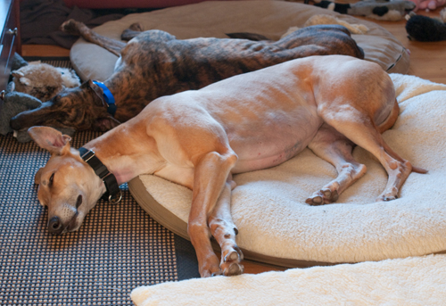091121_sleepytime 091121_sleepytime