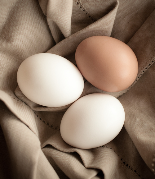 091126_eggs_lg
