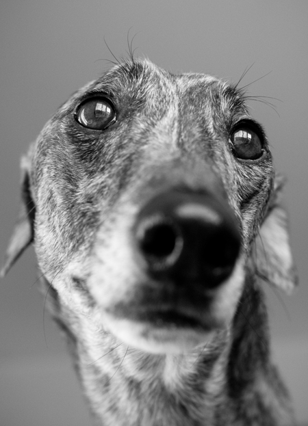 091129_otis