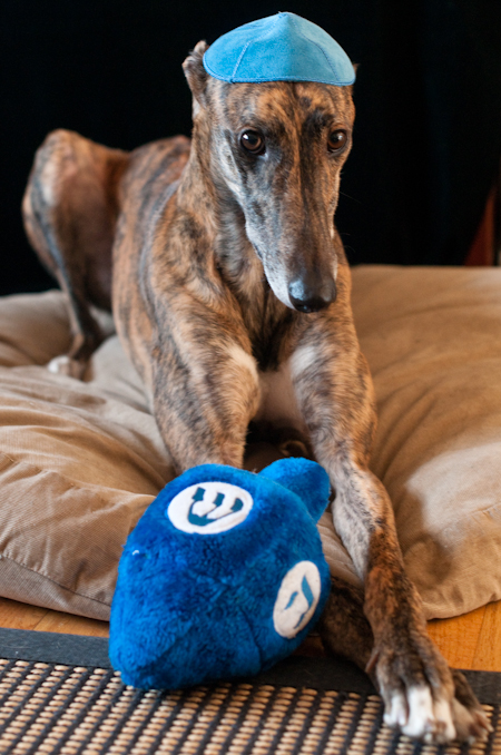 091212_otis1 091212_otis1