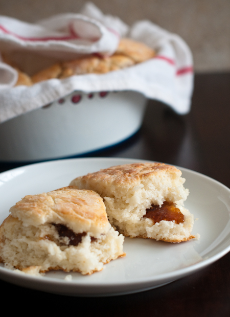 100206_biscuits5