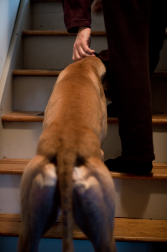 11stairs.jpg
