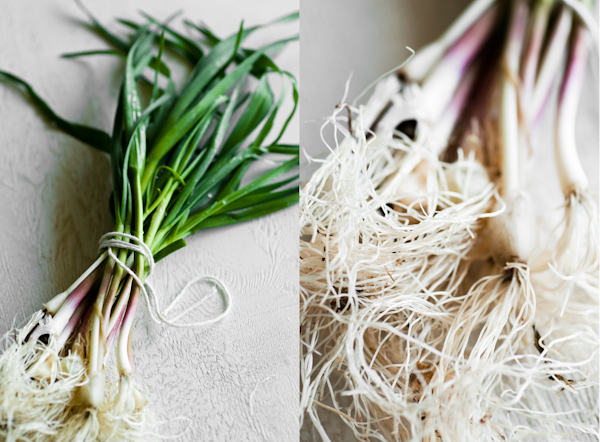 Locally-grown â€” a beautiful sign of Spring