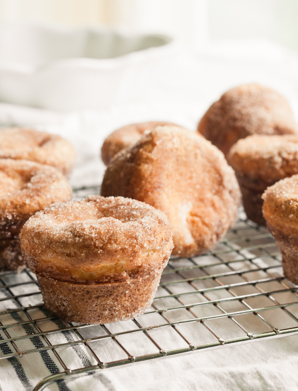 with cinnamon sugar