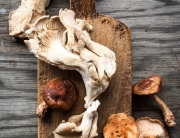 Mushrooms @ Minimally Invasive