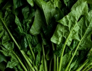 Spinach at Minimally Invasive