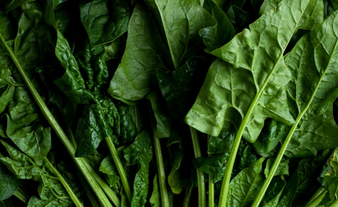 Field to Feast: Spinach