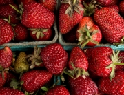 Strawberries at Minimally Invasive