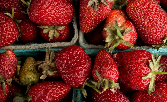 Field to Feast: Strawberries & Rhubarb, Part I