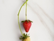 Strawberry Still Life at Minimally Invasive