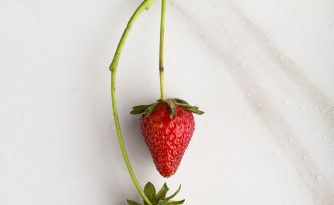 Field to Feast: Strawberries & Rhubarb, Part II