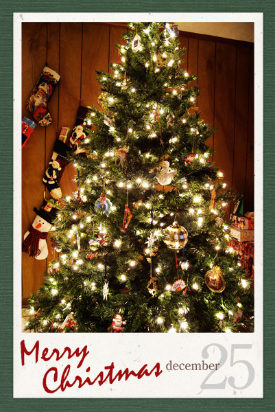 25_tree.jpg