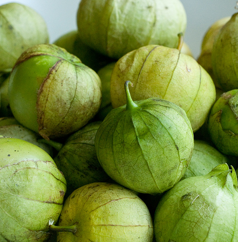 No, seriously. I could not be happier with these two pictures. Aka tomatillo close-up. No, seriously. I could not be happier with these two pictures. Aka tomatillo close-up.