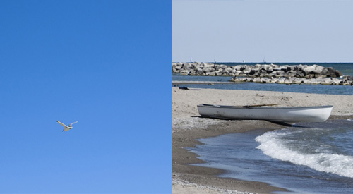 beach.jpg