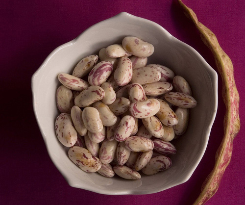 beans.jpg