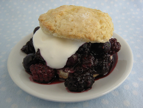bshortcake.jpg