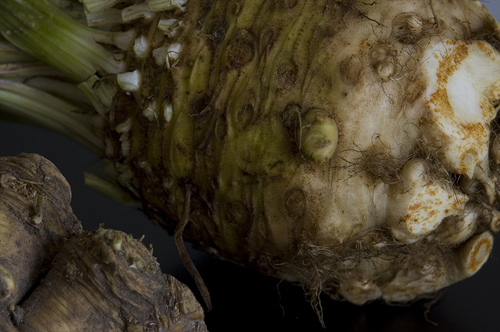 celeriac.jpg