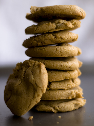 cookie1a.jpg