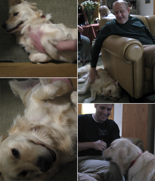 dashcollage.jpg