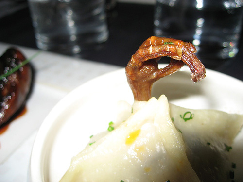 dumpling.jpg