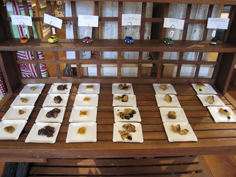 pudding_display.jpg