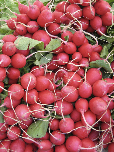 radishes.jpg
