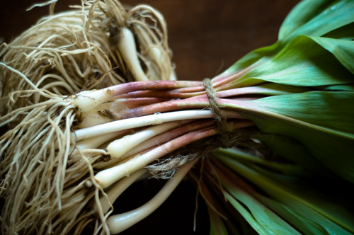 ramps2