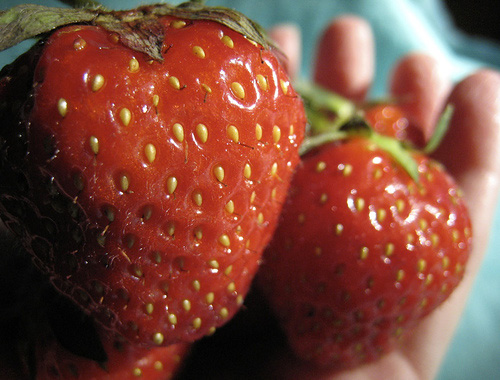 strawberries.jpg