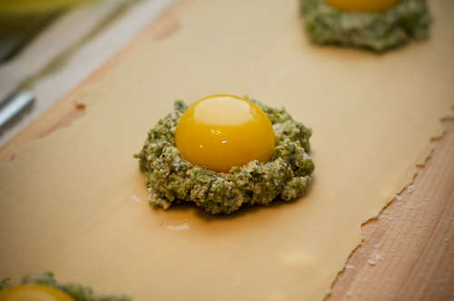 yolk