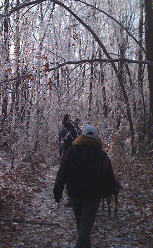 icegreytrail icegreytrail