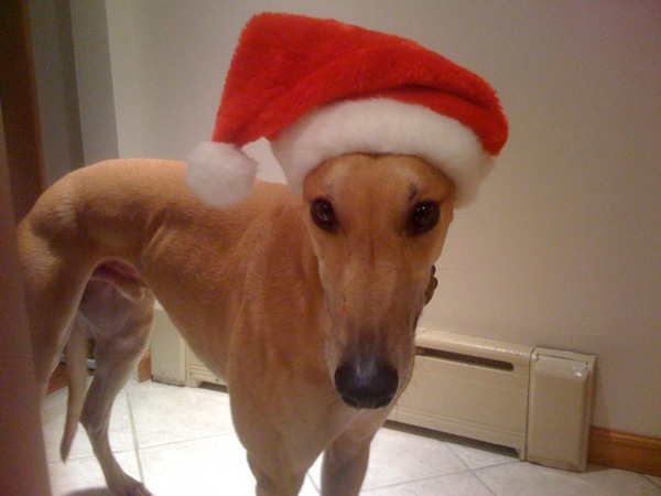 santaru